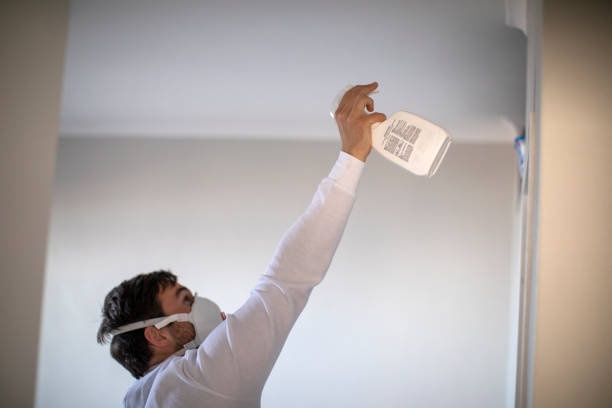 Best Toxic Mold Removal  in West Park, CA