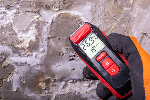 Best Water Damage Restoration  in West Park, CA