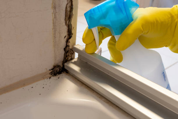 Best Crawl Space Mold Removal  in West Park, CA