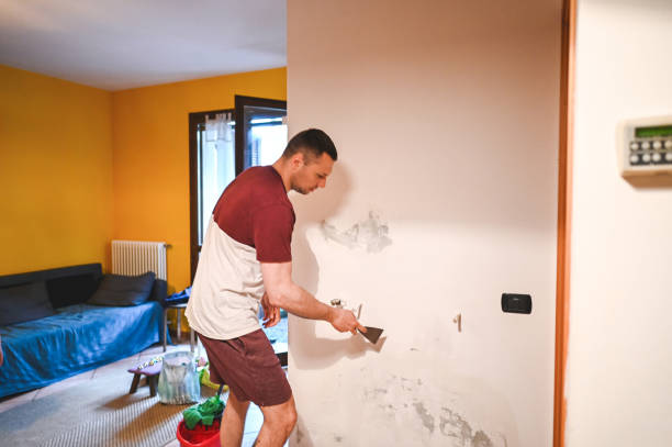 Best Local Mold Removal Service  in West Park, CA